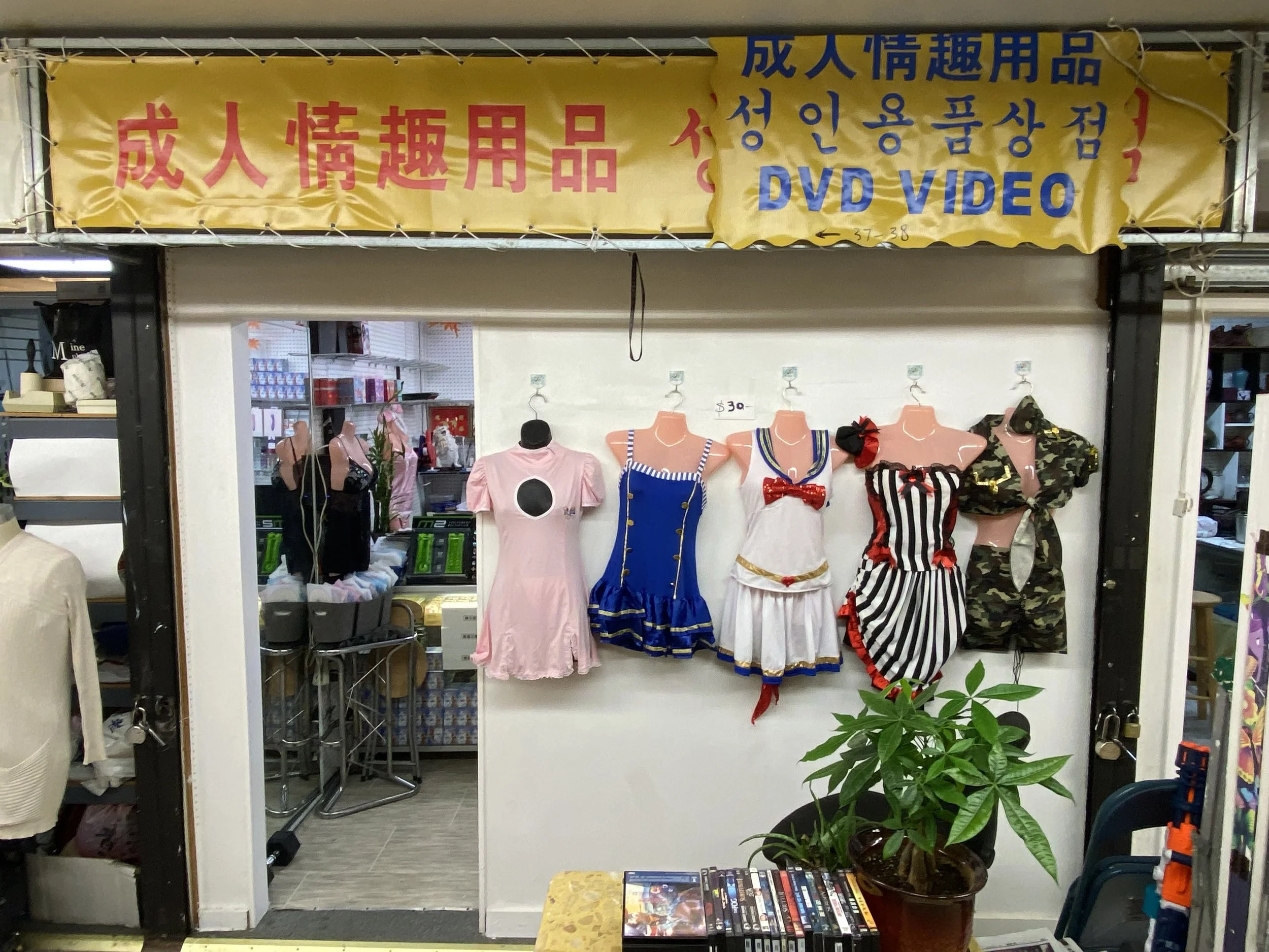 Flushing Adult Store — Busy Mall